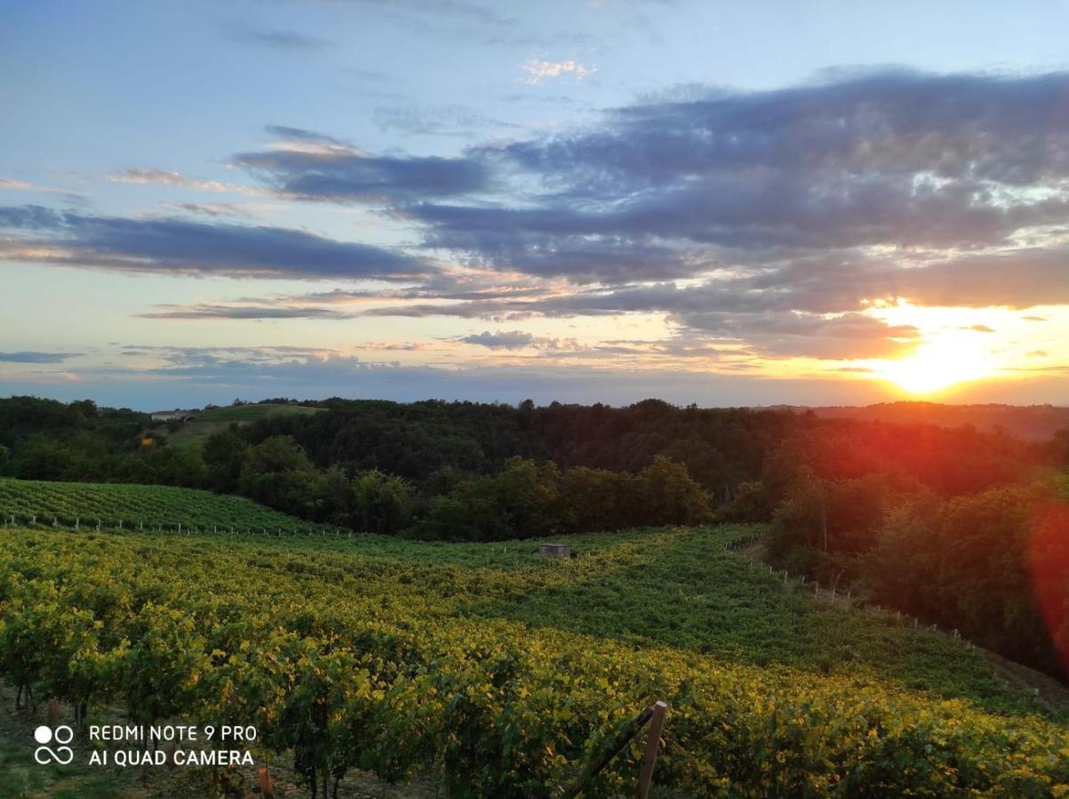 Oasi Del Monferrato - Appartamento Rosso Mombercelli Eksteriør billede